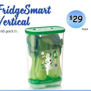 New Tupperware.  Vertical Fridge Smart Container.